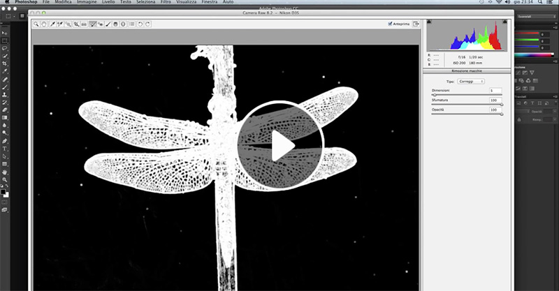 Come eliminare le macchie, Tutorial Camera Raw