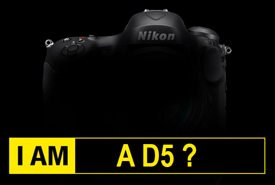 Nikon D5, Rumors, Reflex,