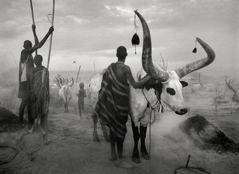 Sebastiao Salgado, Gensei, umoni