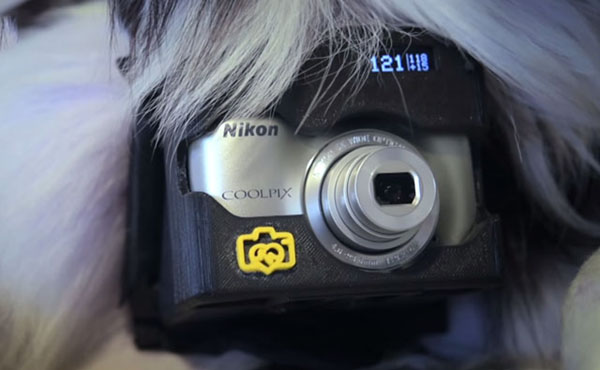 Nikon Doggy Camera