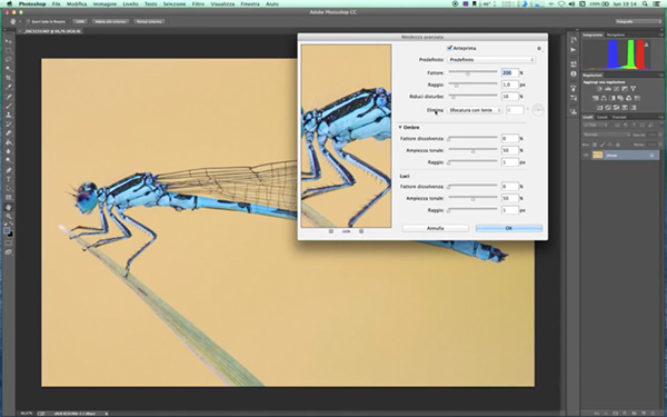 Nitidezza avanzata, tutorial photsohop, fotoritocco