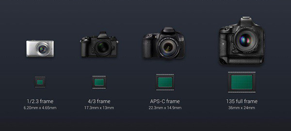 APS-C, Full-Frame, sensori digitali, differenze tra i sensori digitali