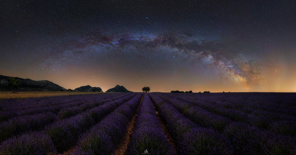 via lattea su campo di lavanda in provenza