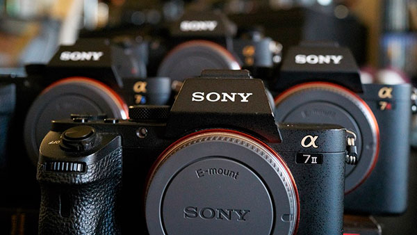 grafico, Sony, mirrorless full-frame