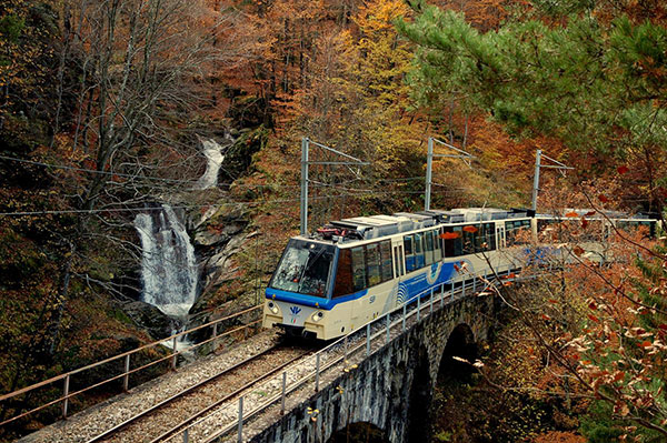 il foliage d'autunno