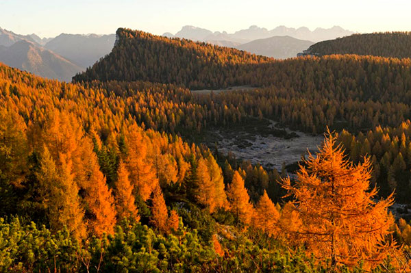 il foliage d'autunno