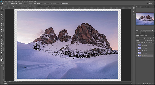 immagine finale del focus stacking photoshop