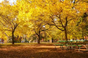 il foliage d'autunno