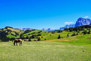 Alpe di Siusi