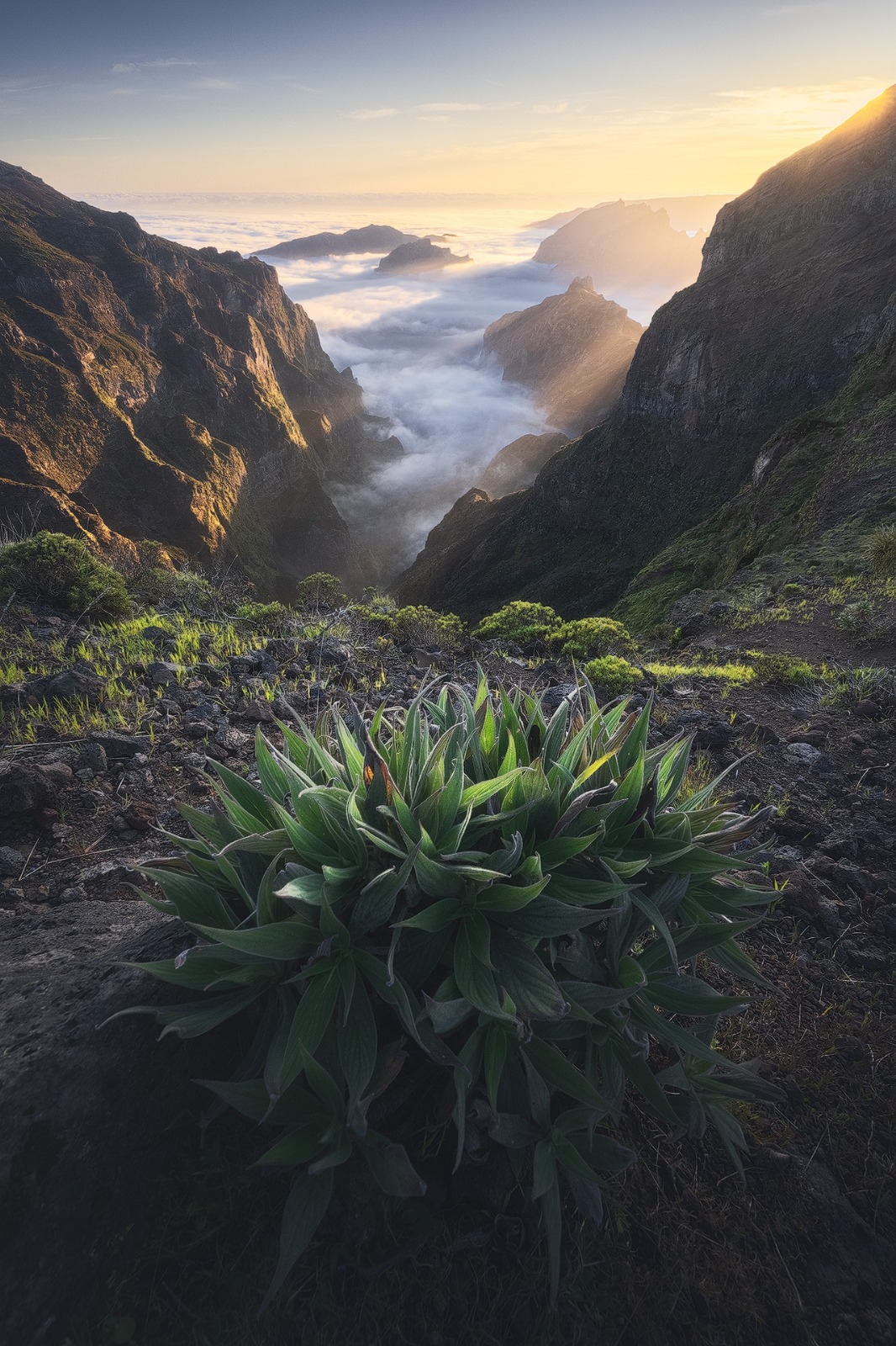diario di viaggio madeira