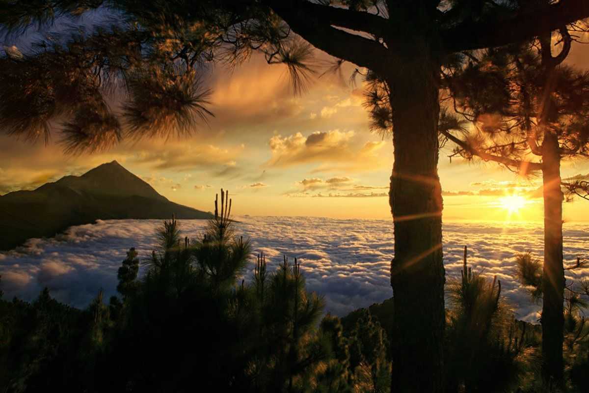 Mirador do Ayosa