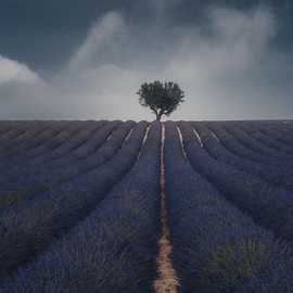 tempesta valensole