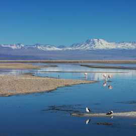 Laguna Chaxa con riflesso