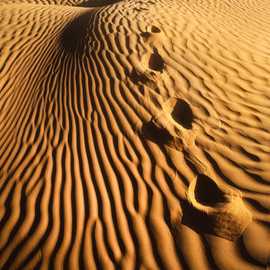 figura umana su duna del deserto nel viaggio fotografico tunisia