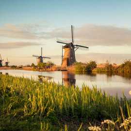 Kinderdijk mulini a vento