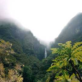Parco naturale di Madeira