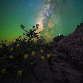 via lattea durante il viaggio fotografico la palma