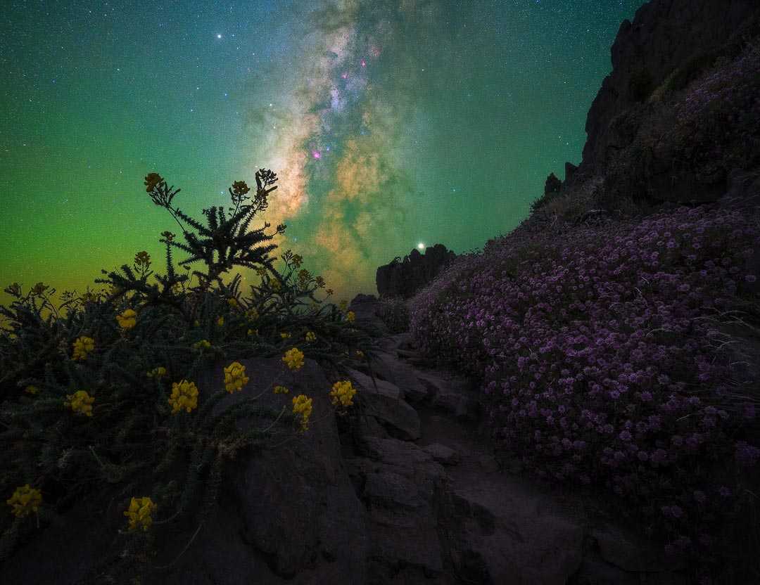 La Palma: vieni ad ammirare la via lattea tra paesaggi vulcanici e marini