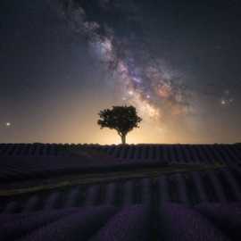 via lattea valensole viaggio fotografico provenza