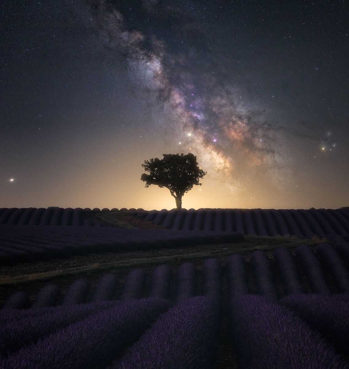 Via Lattea sui campi di lavanda